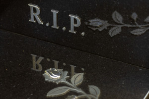 Photo by Adam Ludwik Photography ( www.adamludwik.pl )