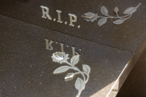 Photo by Adam Ludwik Photography ( www.adamludwik.pl )