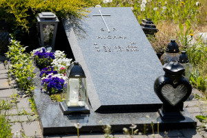 Photo by Adam Ludwik Photography ( www.adamludwik.pl )