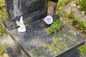 Photo by Adam Ludwik Photography ( www.adamludwik.pl )